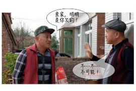 尉氏融资清欠服务